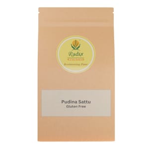 Radix Nutritive® Pudina Sattu with Moringa - Gluten free Radix Nutritive® Pudina Sattu with Moringa - Gluten free
